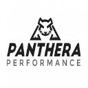 Panthera Performance logo